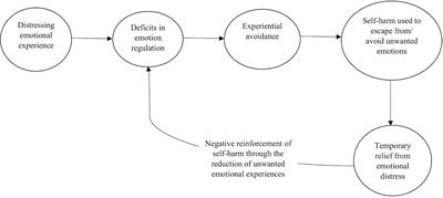 The Co-occurrence of Self-Harm and Aggression: A Cognitive-Emotional Model of Dual-Harm